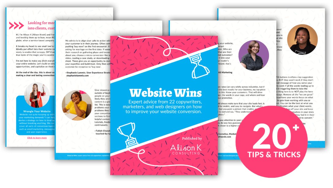 Cover and interior pages of "Website Wins" for website conversion