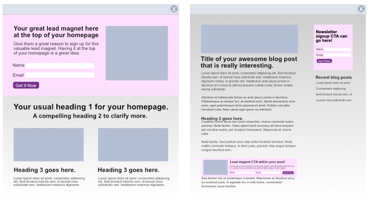 “wireframe of homepage and blog post showing where a lead magnet or newsletter signup CTA can go.”